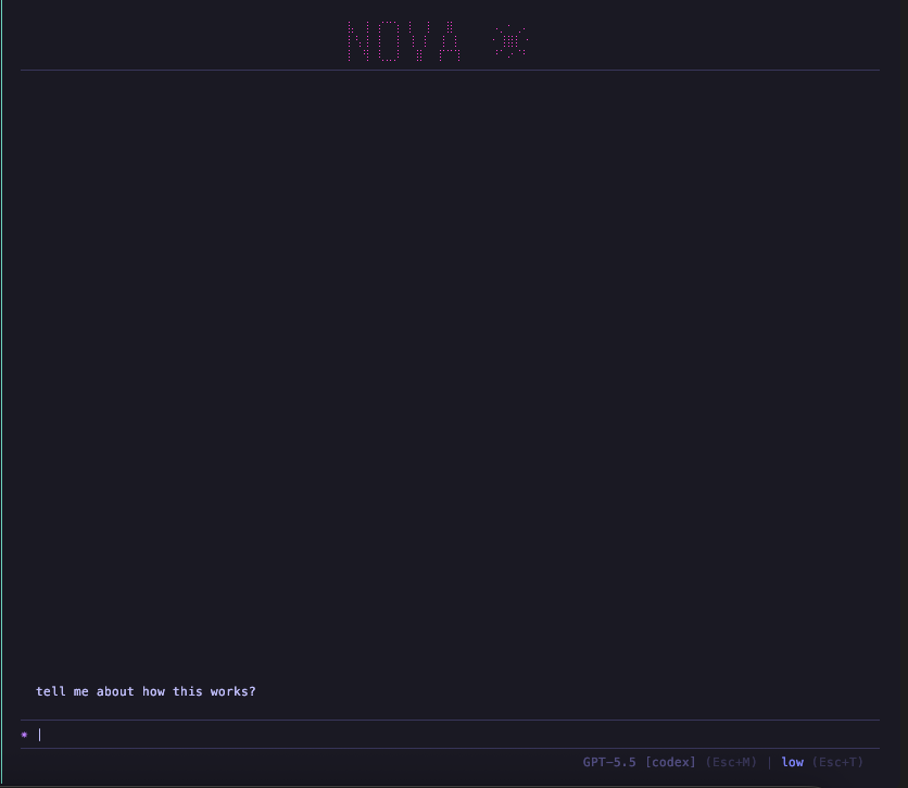 Nova TUI interface.